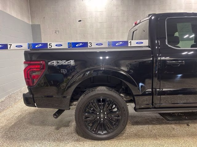 2025 Agate Black Metallic Ford F-150 Platinum 4X4 Truck