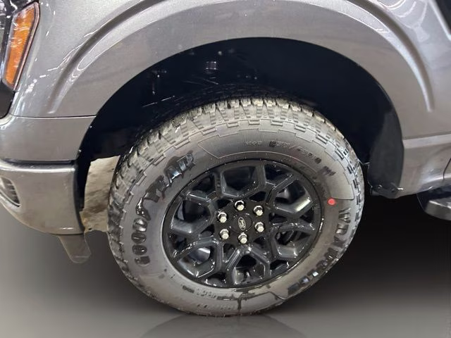 2026 Carbonized Gray Metallic Ford F-150 XLT Black Appearance 4X4 Truck