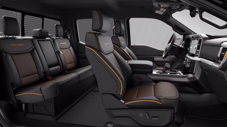 2026 Agate Black Metallic Ford F-150 Tremor 4X4 Truck