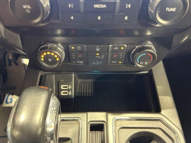 2019 Agate Black Metallic Ford F-150 XLT 4X4 Truck
