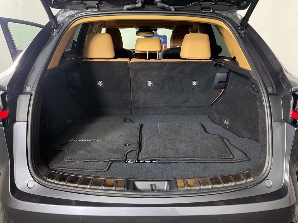 2025 Gray Lexus NX 250 Premium FWD SUV
