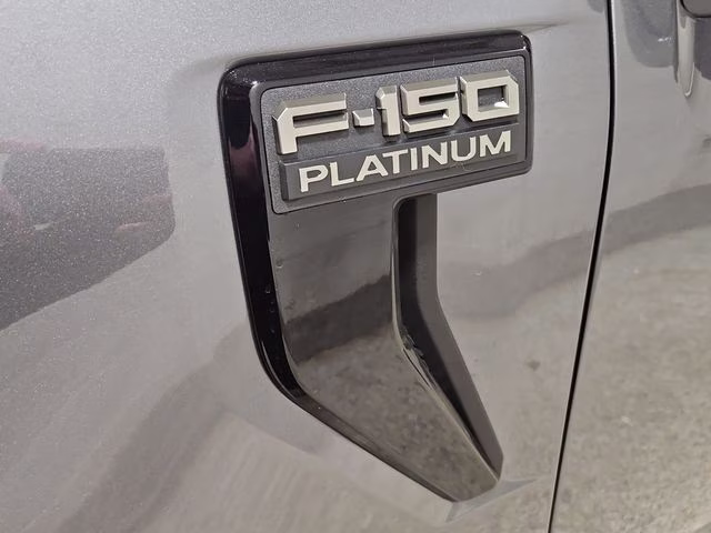 2026 Carbonized Gray Metallic Ford F-150 Platinum 4X4 Truck