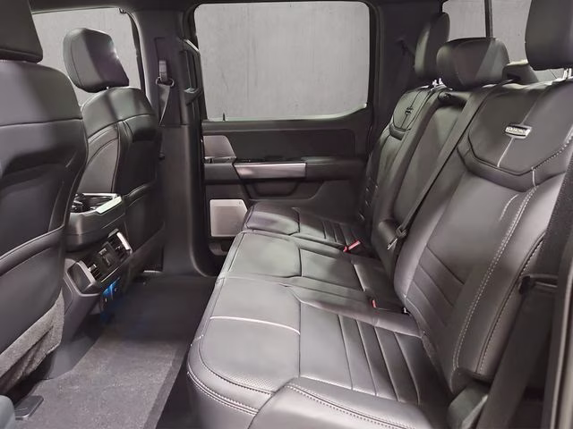 2026 Carbonized Gray Metallic Ford F-150 Platinum 4X4 Truck