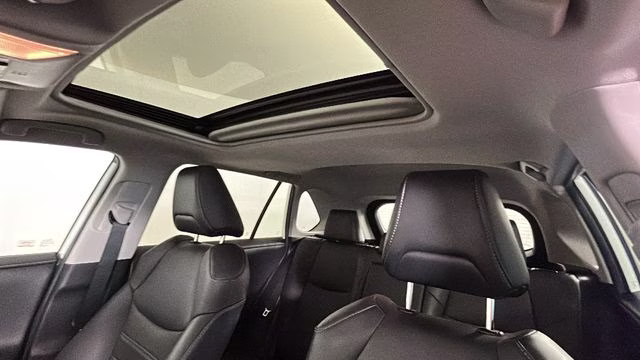 2019 Blizzard Pearl Toyota RAV4 Limited AWD SUV