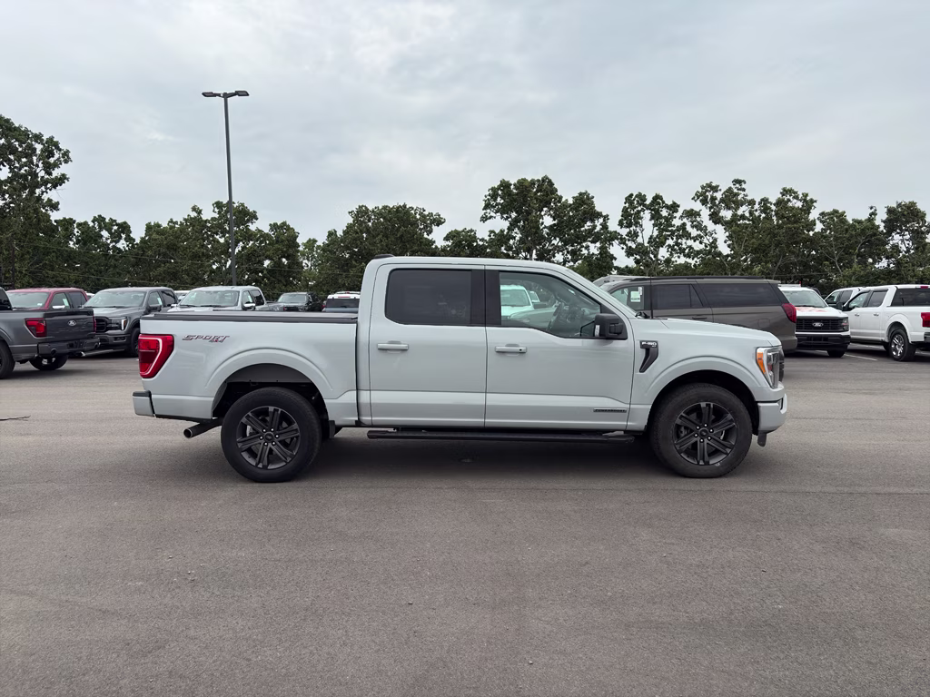 2023 Avalanche Ford F-150 XLT 4X4 Truck
