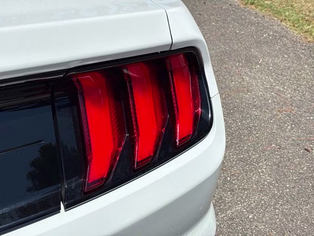 2020 Oxford White Ford Mustang GT Premium RWD Convertible
