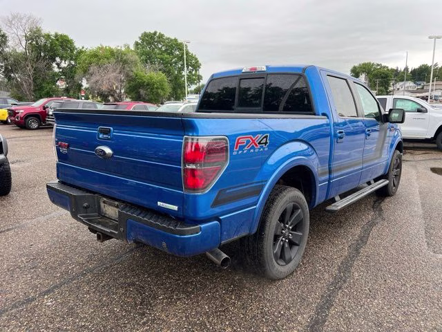 2014 Blue Flame Metallic Ford F-150 FX4 4X4 Truck