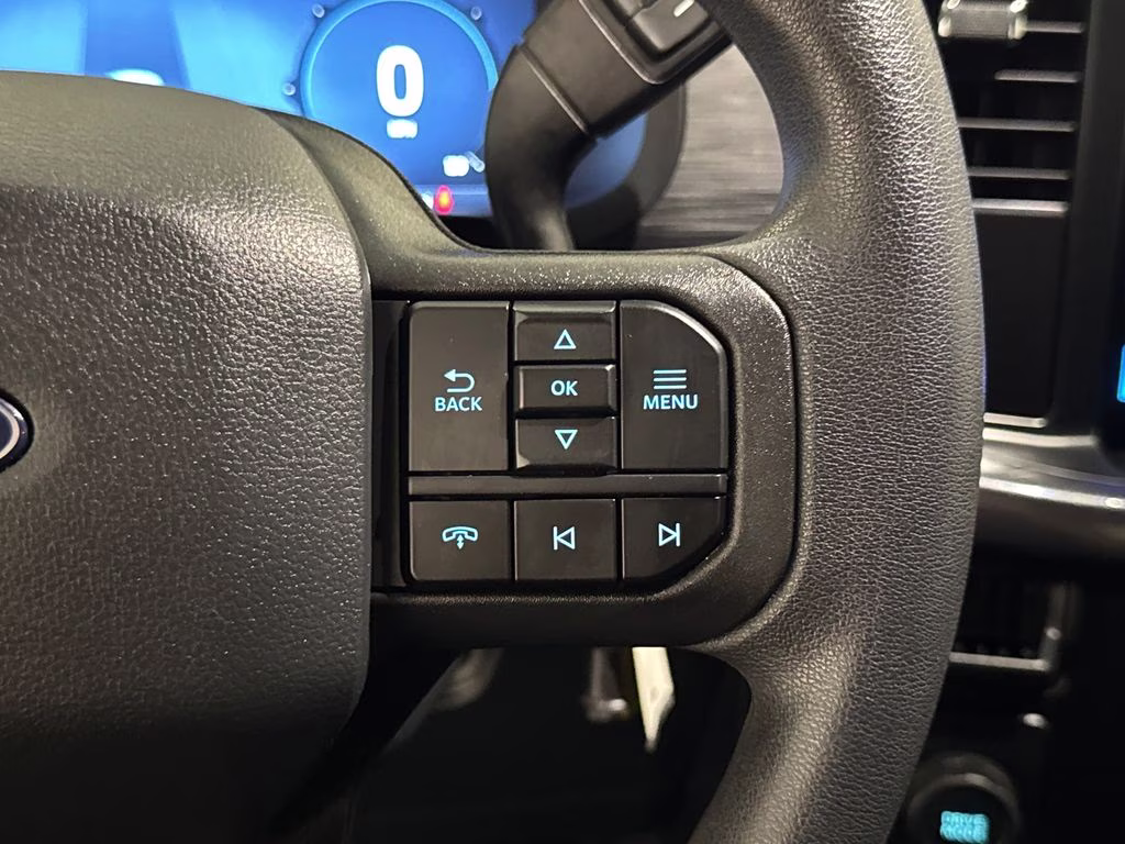 2024 Avalanche Ford F-150 STX RWD Truck
