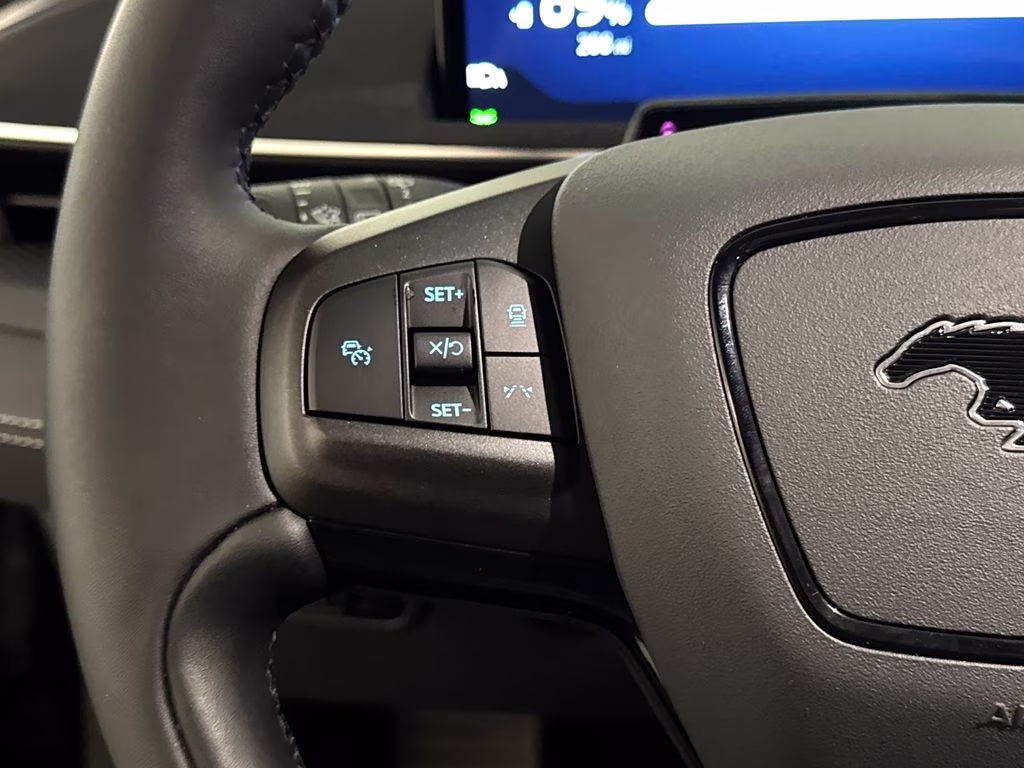2025 Shadow Black Ford Mustang Mach-E Select RWD SUV
