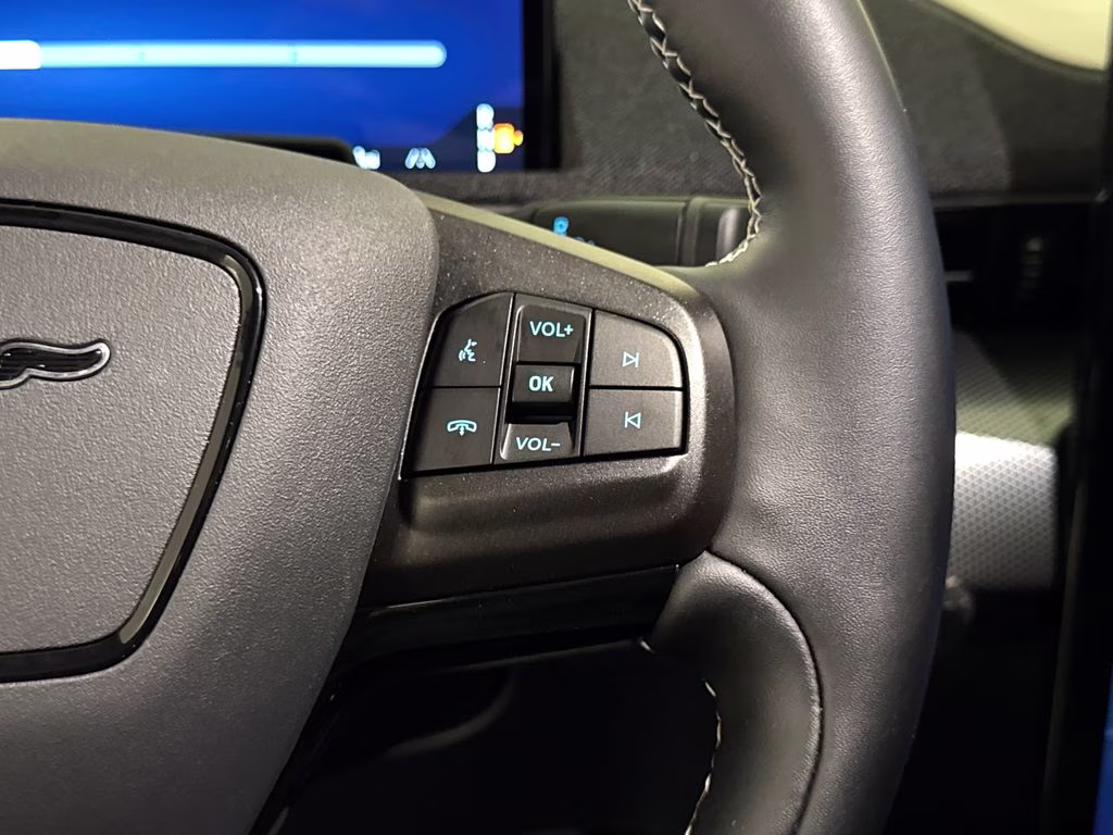 2025 Shadow Black Ford Mustang Mach-E GT AWD SUV