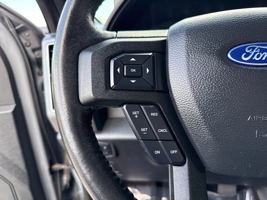 2019 Abyss Gray Metallic Ford F-150 XLT RWD Truck