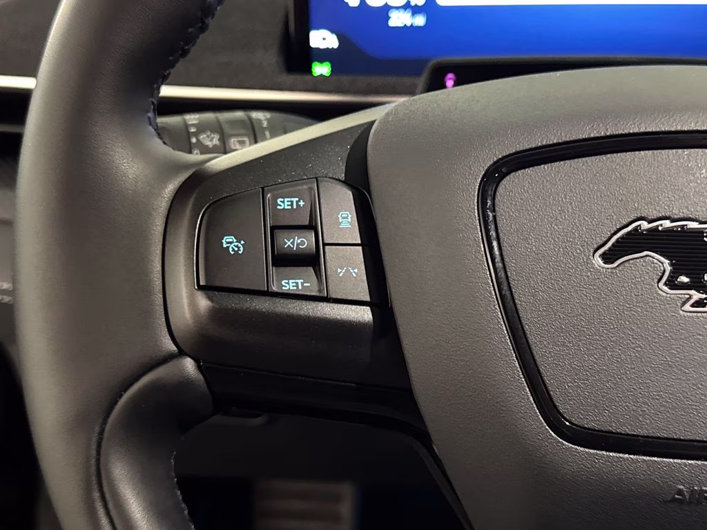 2025 Shadow Black Ford Mustang Mach-E Premium AWD SUV