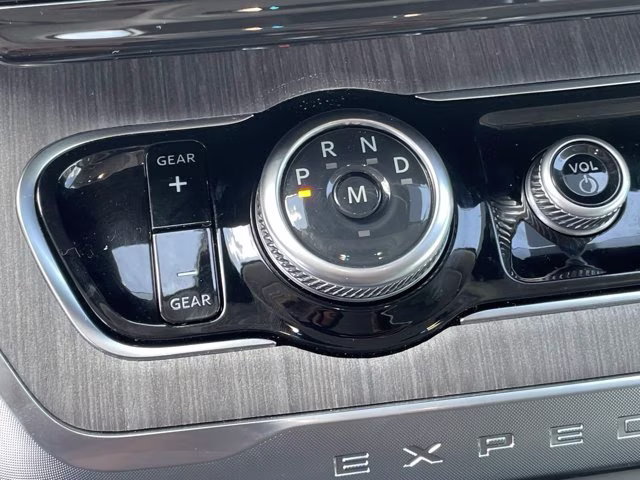 2026 Agate Black Metallic Ford Expedition Platinum 4X4 SUV