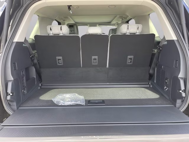 2026 Agate Black Metallic Ford Expedition Platinum 4X4 SUV