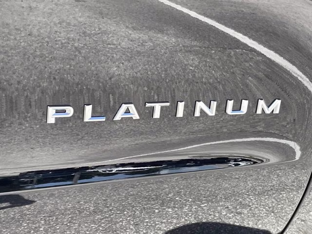 2026 Agate Black Metallic Ford Expedition Platinum 4X4 SUV