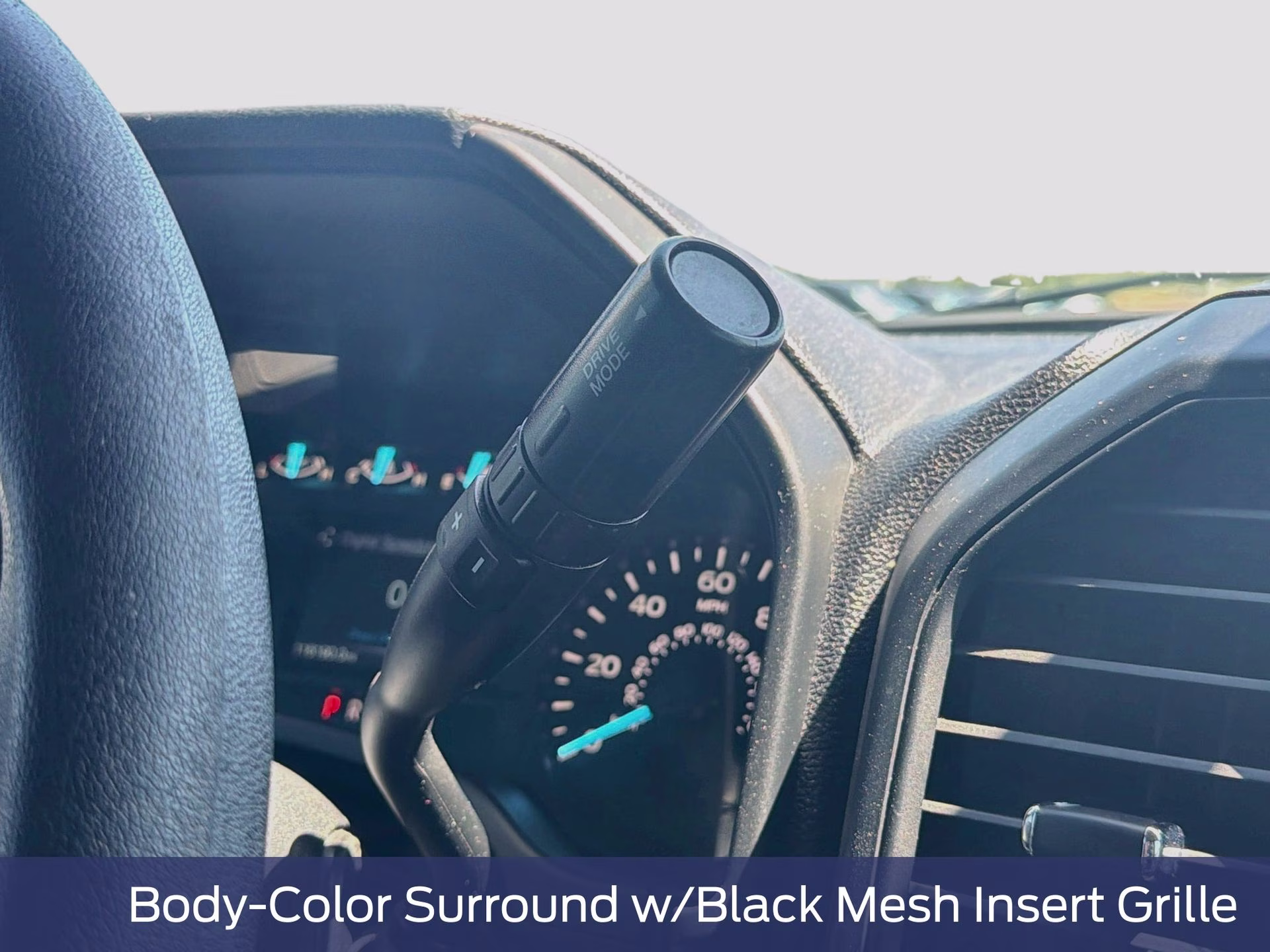 2019 Magnetic Metallic Ford F-150 XL RWD Truck