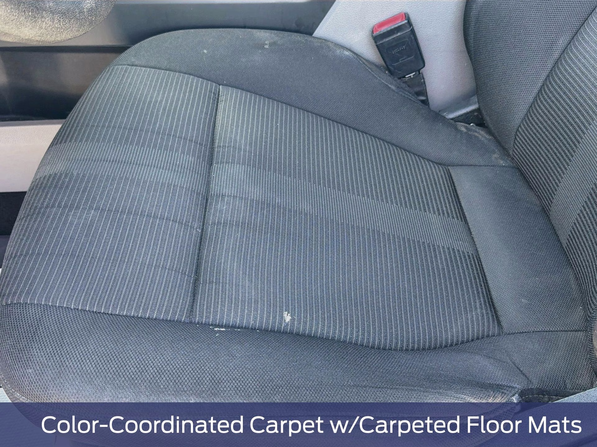 2019 Magnetic Metallic Ford F-150 XL RWD Truck