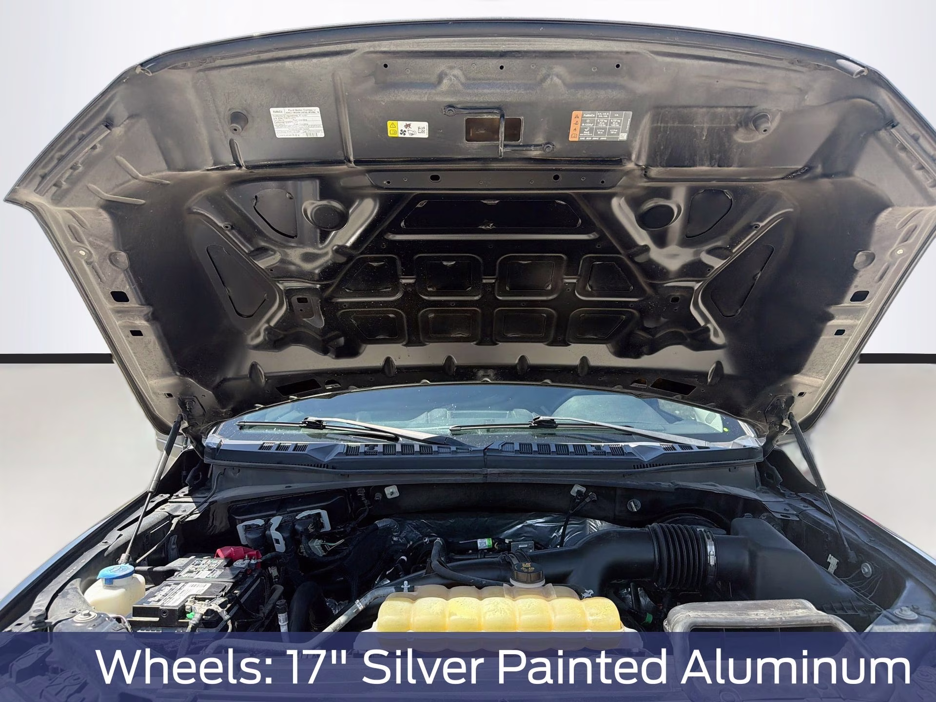 2019 Magnetic Metallic Ford F-150 XL RWD Truck