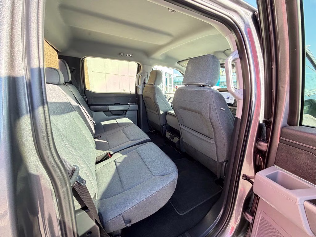 2025 Gray Ford F-150 XLT 4X4 Truck