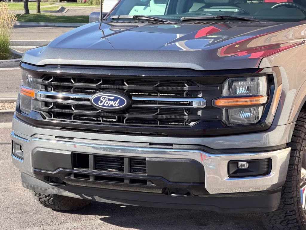 2025 Gray Ford F-150 XLT 4X4 Truck