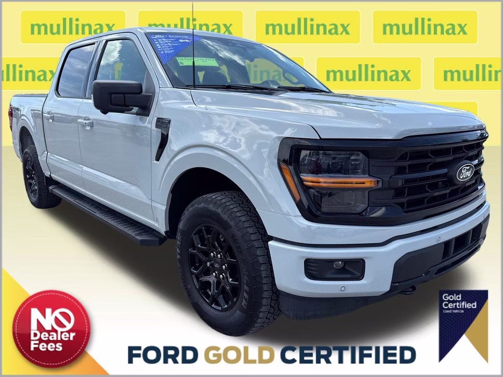2024 Avalanche Gray Ford F-150 XLT 4X4 Truck