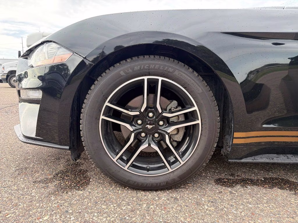 2020 Shadow Black Ford Mustang EcoBoost Premium RWD Convertible