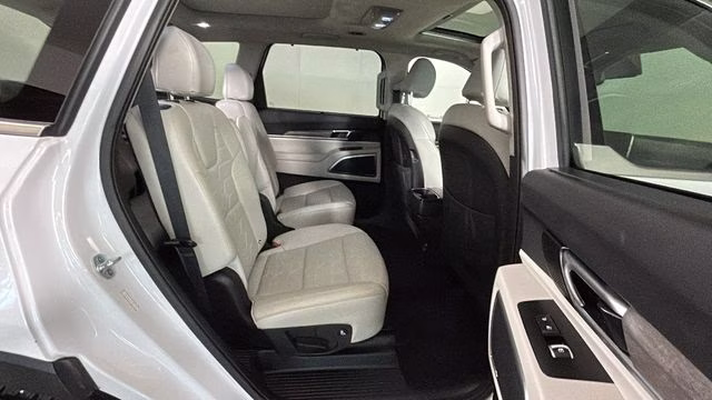 2020 Snow White Pearl Kia Telluride SX AWD SUV