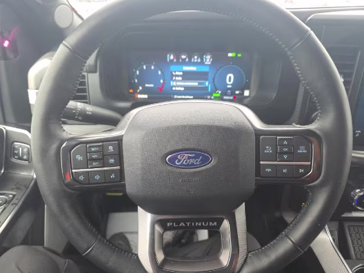 2025 Gray Metallic Ford F-150 Platinum 4X4 Truck