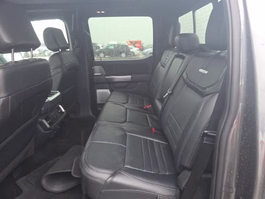 2025 Gray Metallic Ford F-150 Platinum 4X4 Truck