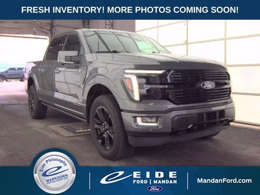 2025 Gray Metallic Ford F-150 Platinum 4X4 Truck