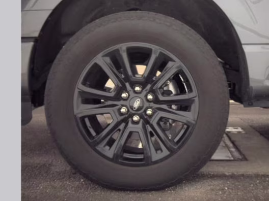 2025 Gray Metallic Ford F-150 Platinum 4X4 Truck