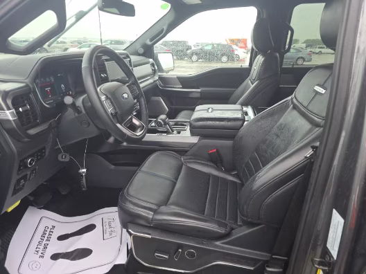 2025 Gray Metallic Ford F-150 Platinum 4X4 Truck