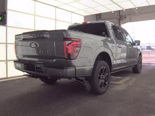 2025 Gray Metallic Ford F-150 Platinum 4X4 Truck