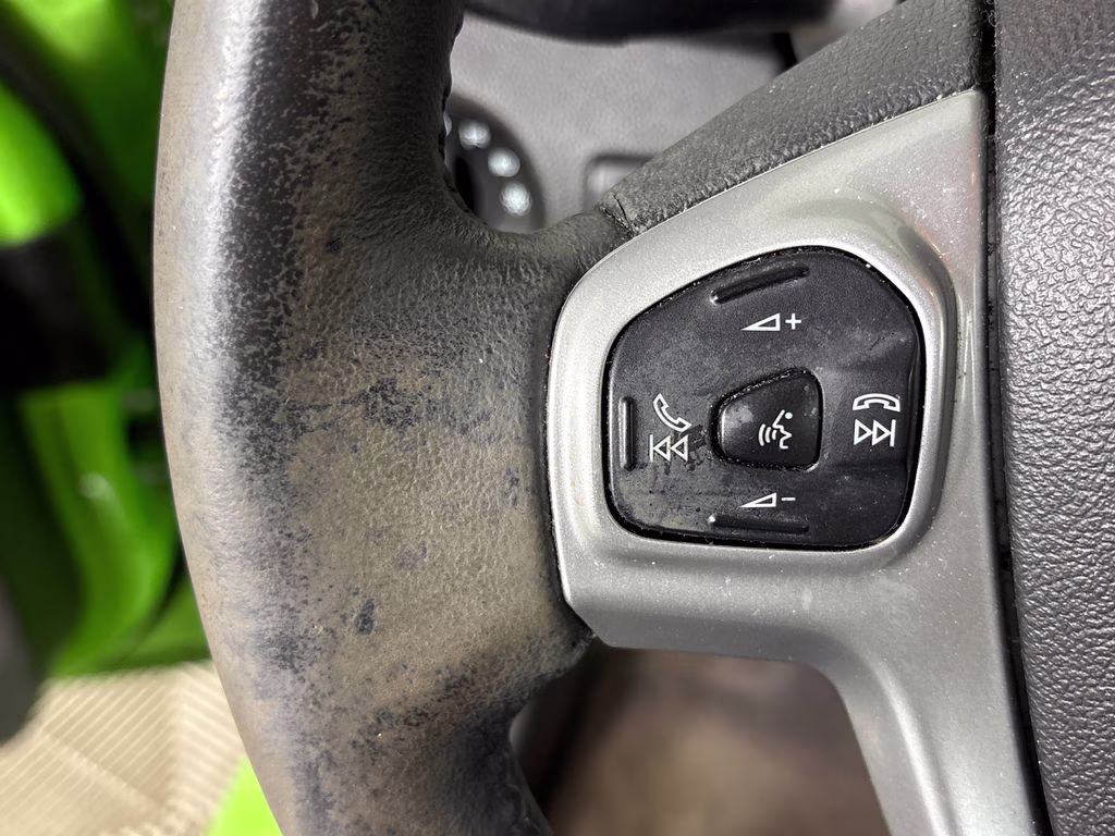 2015 Green Envy Metallic Tricoat Ford Fiesta SE FWD Hatchback