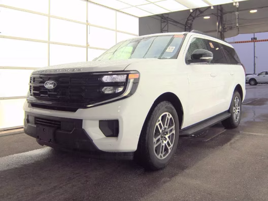 2025 Ford Expedition Active 4x4's photo