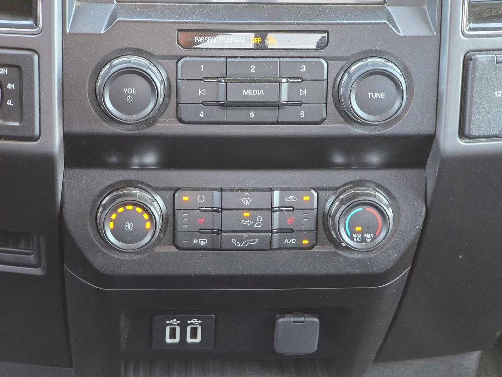 2019 Magnetic Metallic Ford F-150 XLT 4X4 Truck