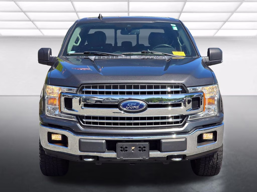 2019 Magnetic Metallic Ford F-150 XLT 4X4 Truck
