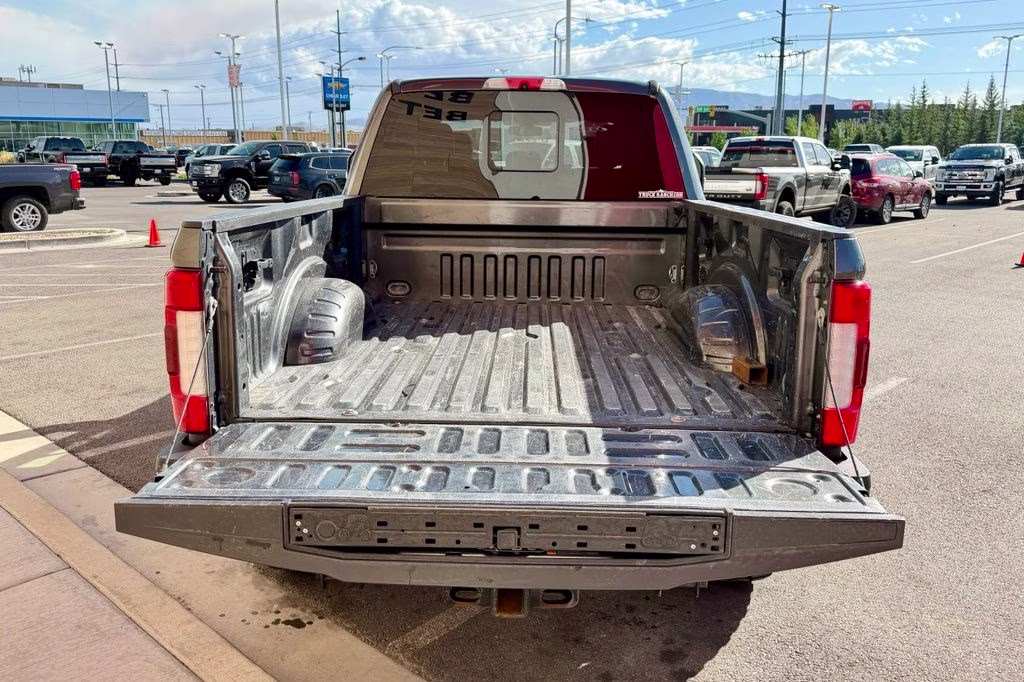 2017 Magnetic Ford Super Duty F-350 SRW Platinum 4X4 Truck