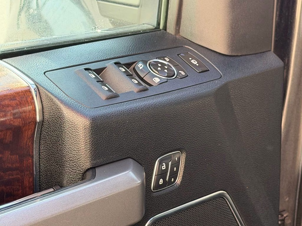 2017 Magnetic Ford Super Duty F-350 SRW Platinum 4X4 Truck
