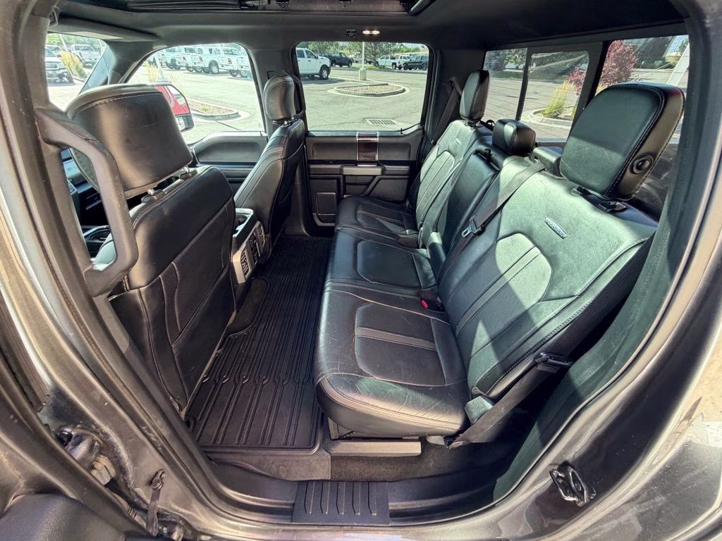2017 Magnetic Ford Super Duty F-350 SRW Platinum 4X4 Truck