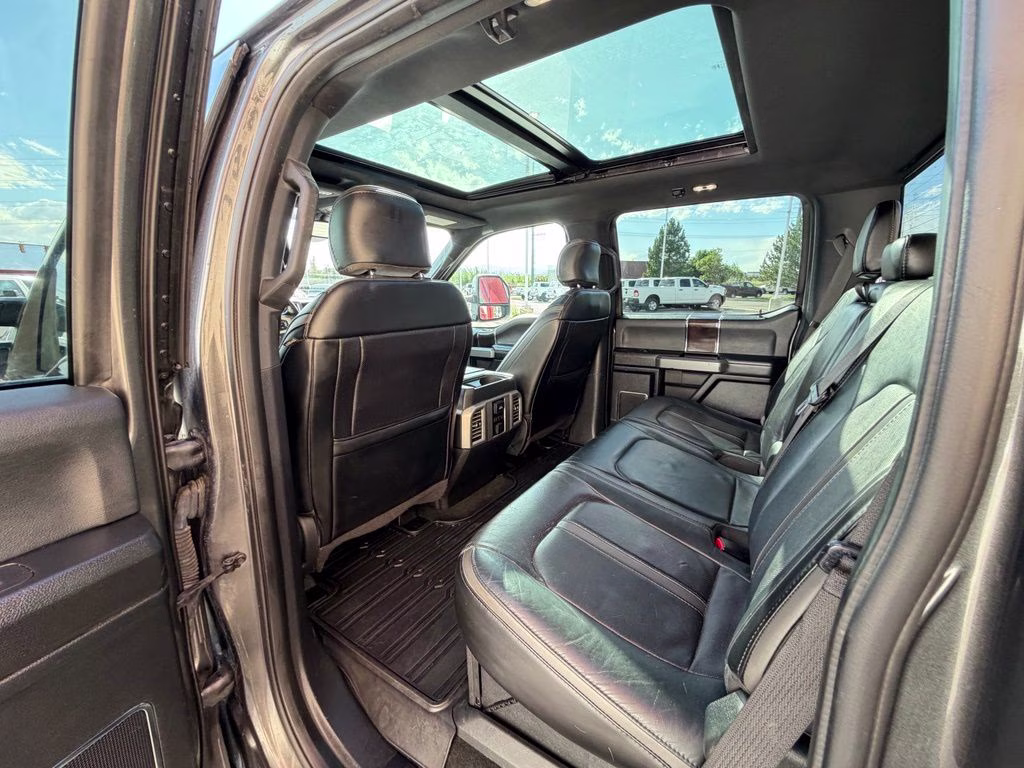 2017 Magnetic Ford Super Duty F-350 SRW Platinum 4X4 Truck