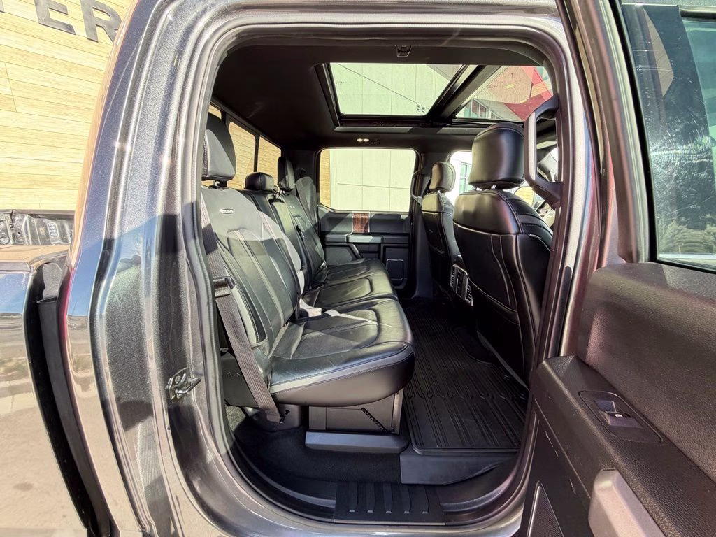 2017 Magnetic Ford Super Duty F-350 SRW Platinum 4X4 Truck
