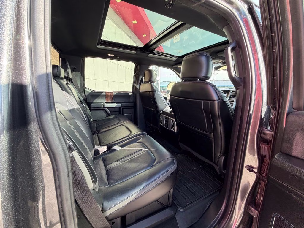 2017 Magnetic Ford Super Duty F-350 SRW Platinum 4X4 Truck