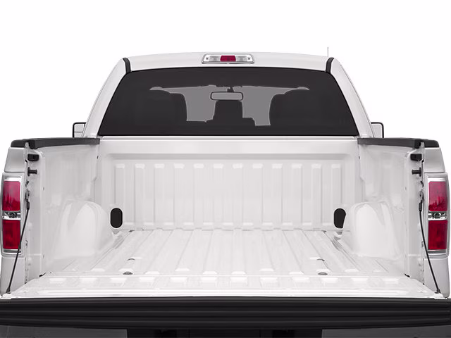 2013 Ingot Silver Ford F-150 STX RWD Truck