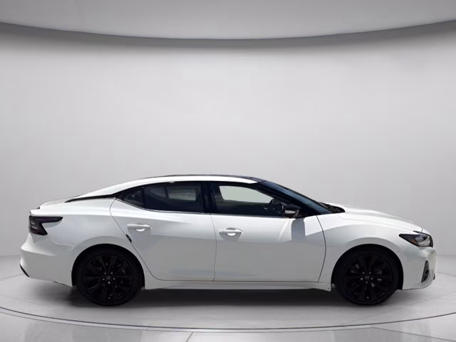 2023 Pearl White Tricoat Nissan Maxima SR FWD Sedan