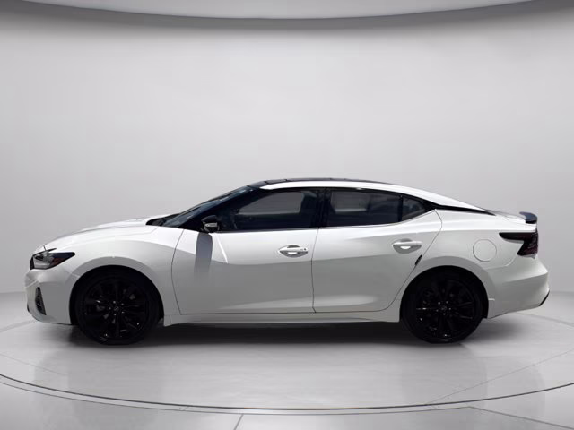 2023 Pearl White Tricoat Nissan Maxima SR FWD Sedan