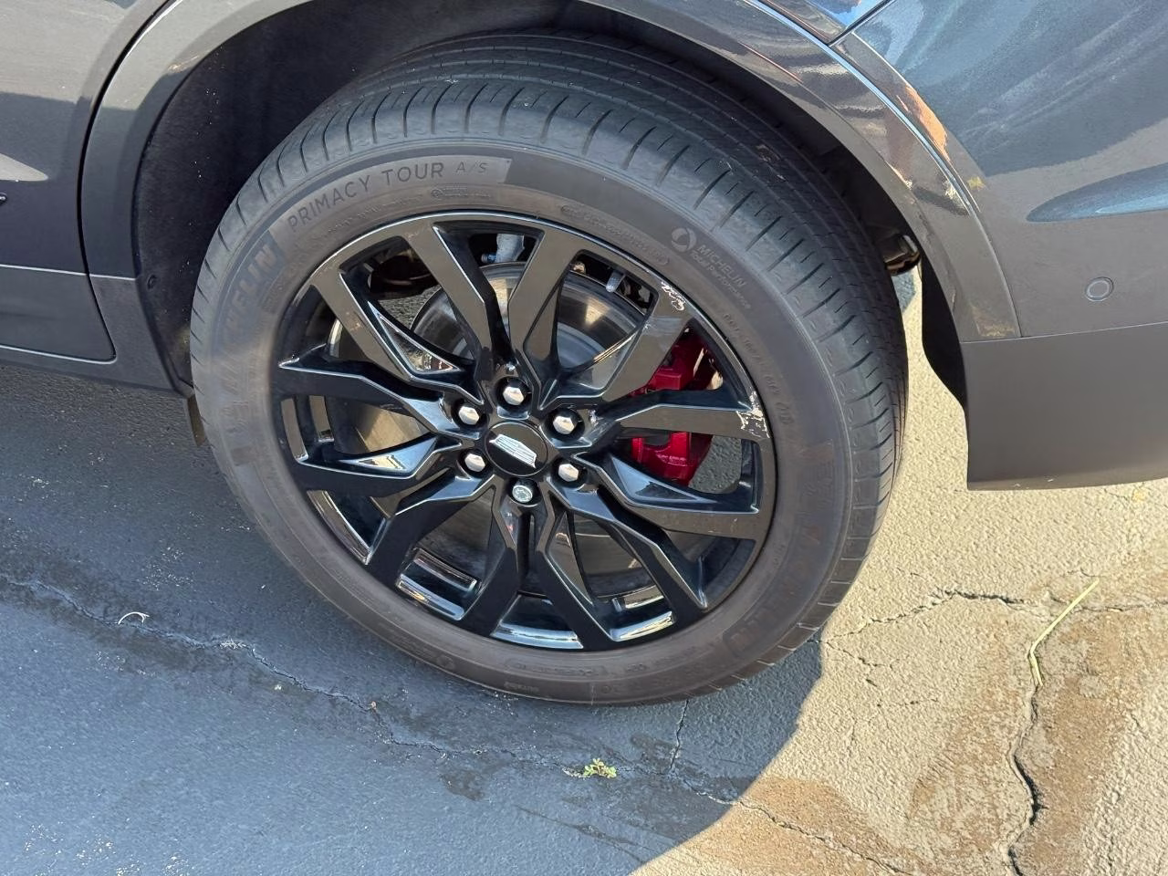 2023 Wilder Metallic Cadillac XT5 Sport AWD SUV