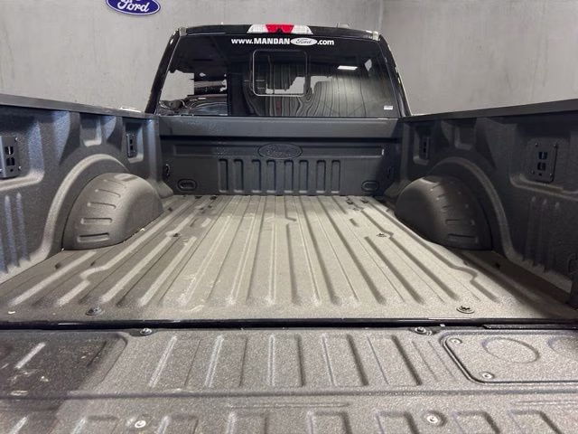 2026 Black Ford Super Duty F-250 SRW Platinum 4X4 Truck