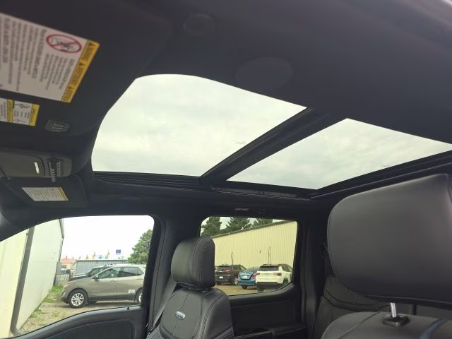2026 Black Ford Super Duty F-250 SRW Platinum 4X4 Truck