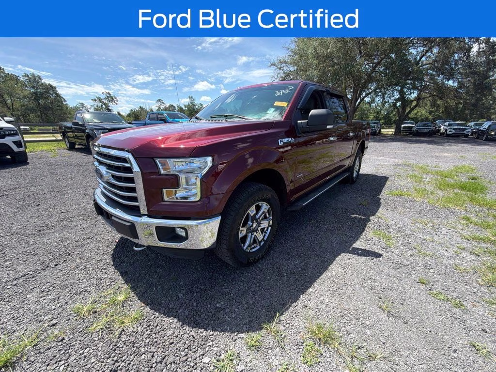 2016 Bronze Ford F-150 XLT 4X4 Truck